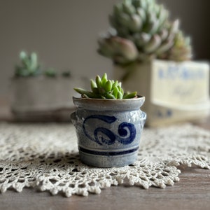 May include: A small blue and white ceramic planter with a succulent plant inside. The planter has a decorative design with a swirl pattern. The planter is sitting on a white crocheted doily.