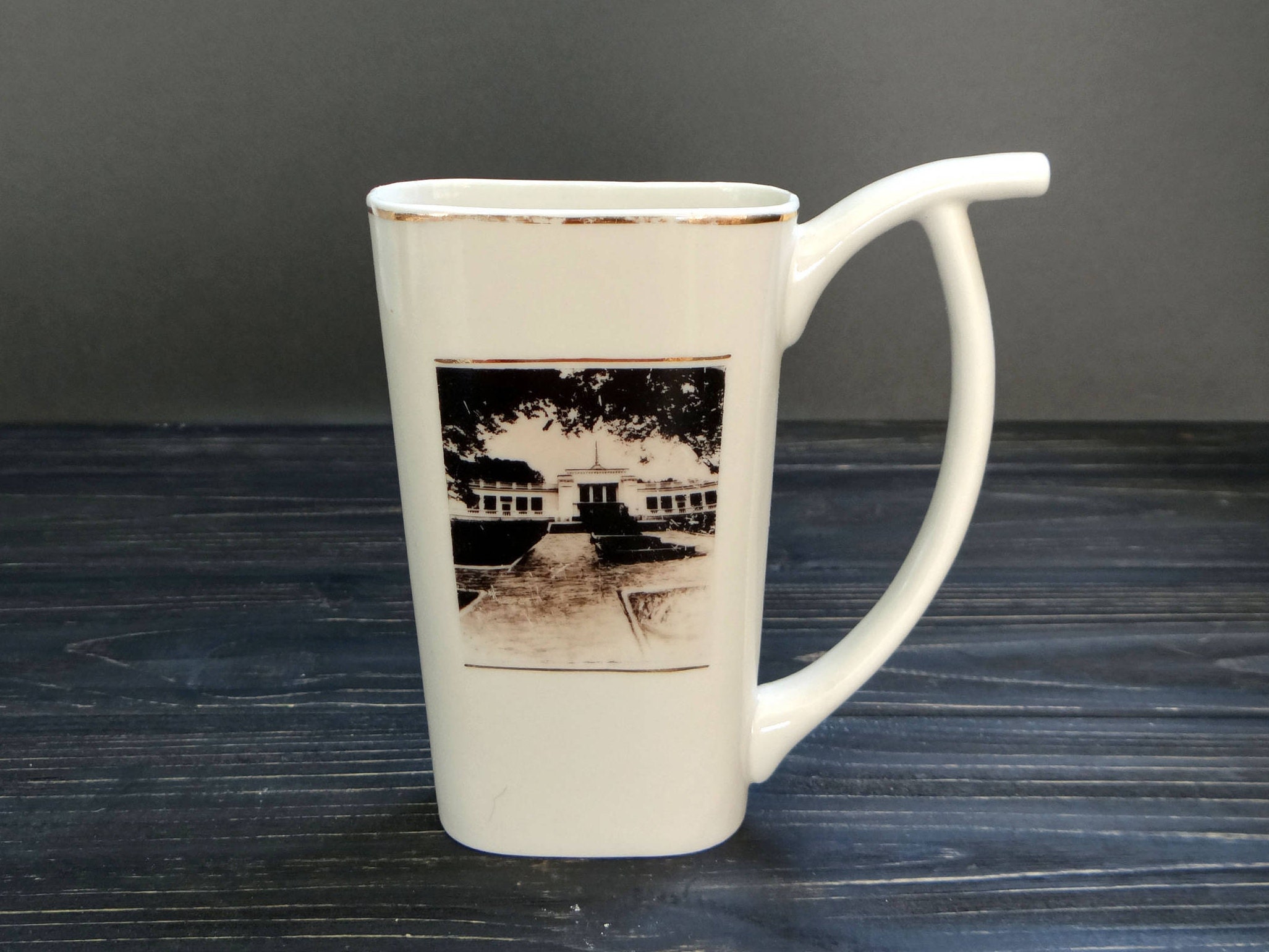 1pc Glass Water Cup With Straw, Coffee Mug With Sleeve, Grey Deer