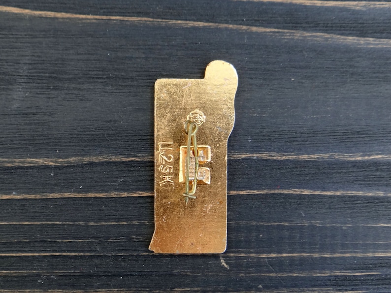 Parrot Bird pin Hipster backpack pins Vintage Bird badge Metal pin button Back to school gift Blue enamel pin badge Sister gift Teen gift image 7