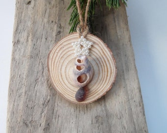 Sea Shell Christmas Tree with White Beaded Star Christmas Decoration