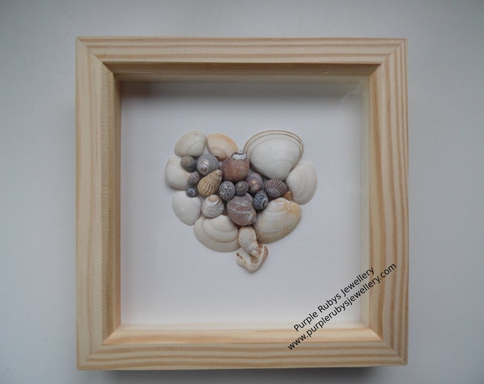 Heart of Cornwall White Tones Sea Shell Picture