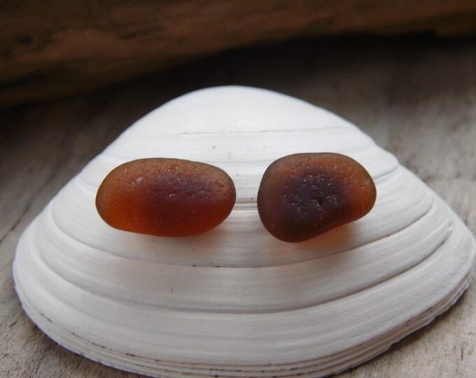 Amber Studs Cornish, Marazion Sea Glass Earrings