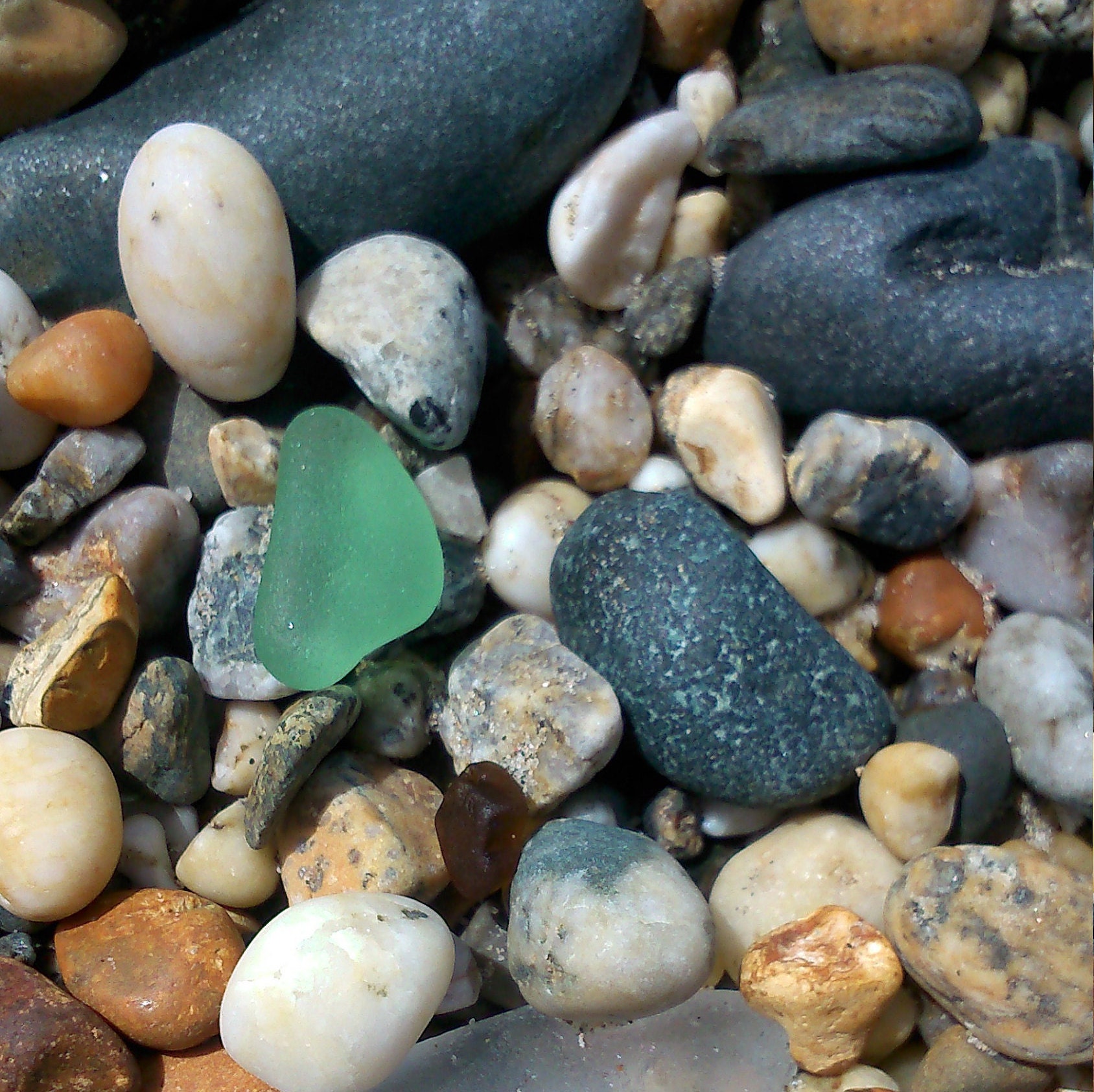Cornish Pale Green Seafoam Sea Glass Earrings
