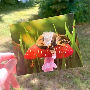Cartão postal de gato fada - Willow