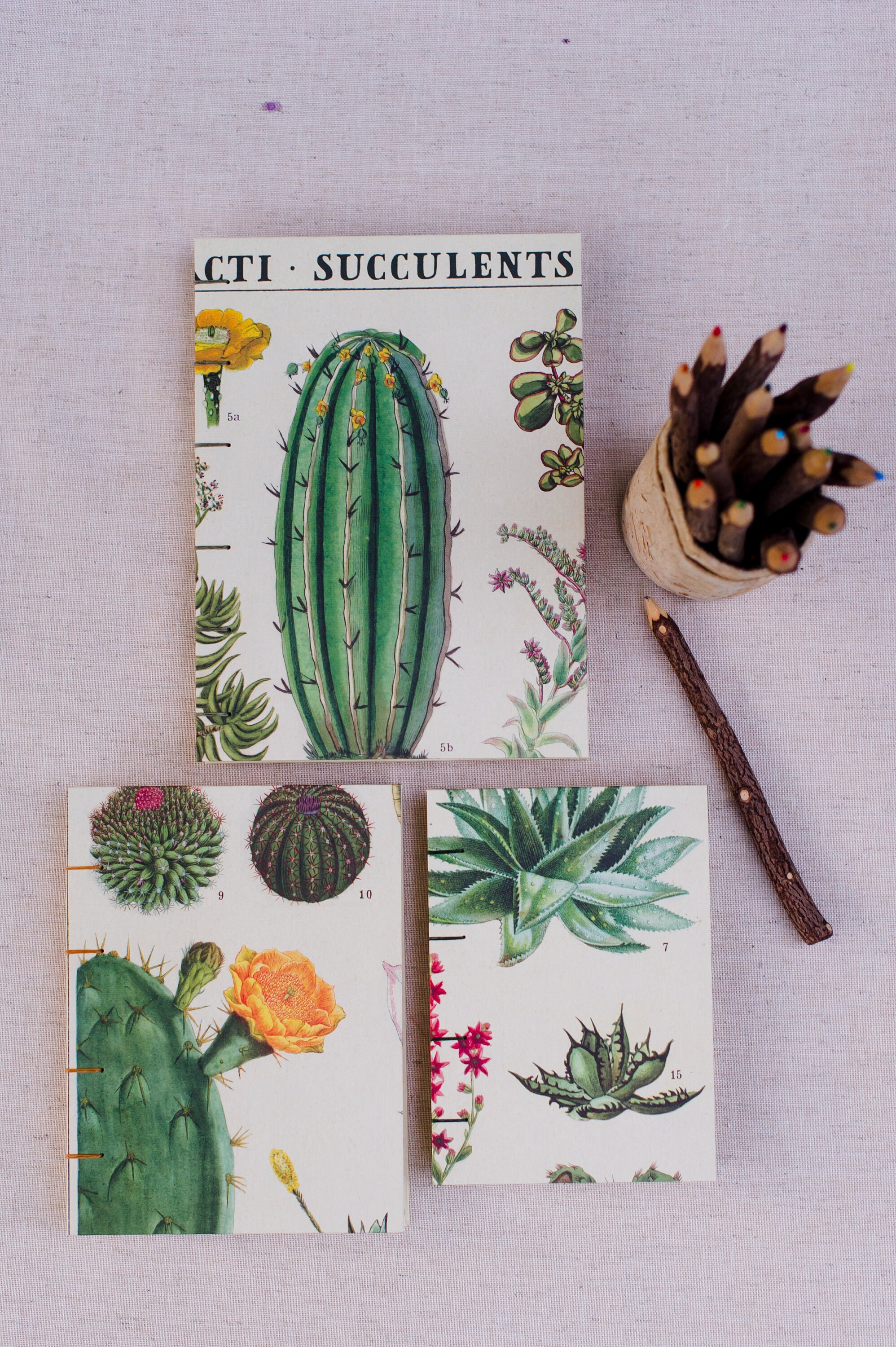 Sketchbook // Journal Succulent Plants Cactus Air Plants House | Etsy