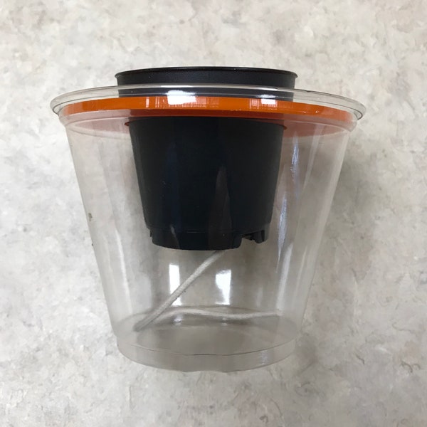 Set of 5 African Violet wicking self-watering starter pot