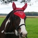 Equestrianflair