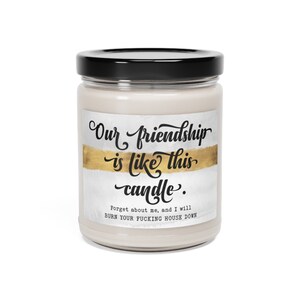 Snarky Friendship Scented Soy Candle, 9oz