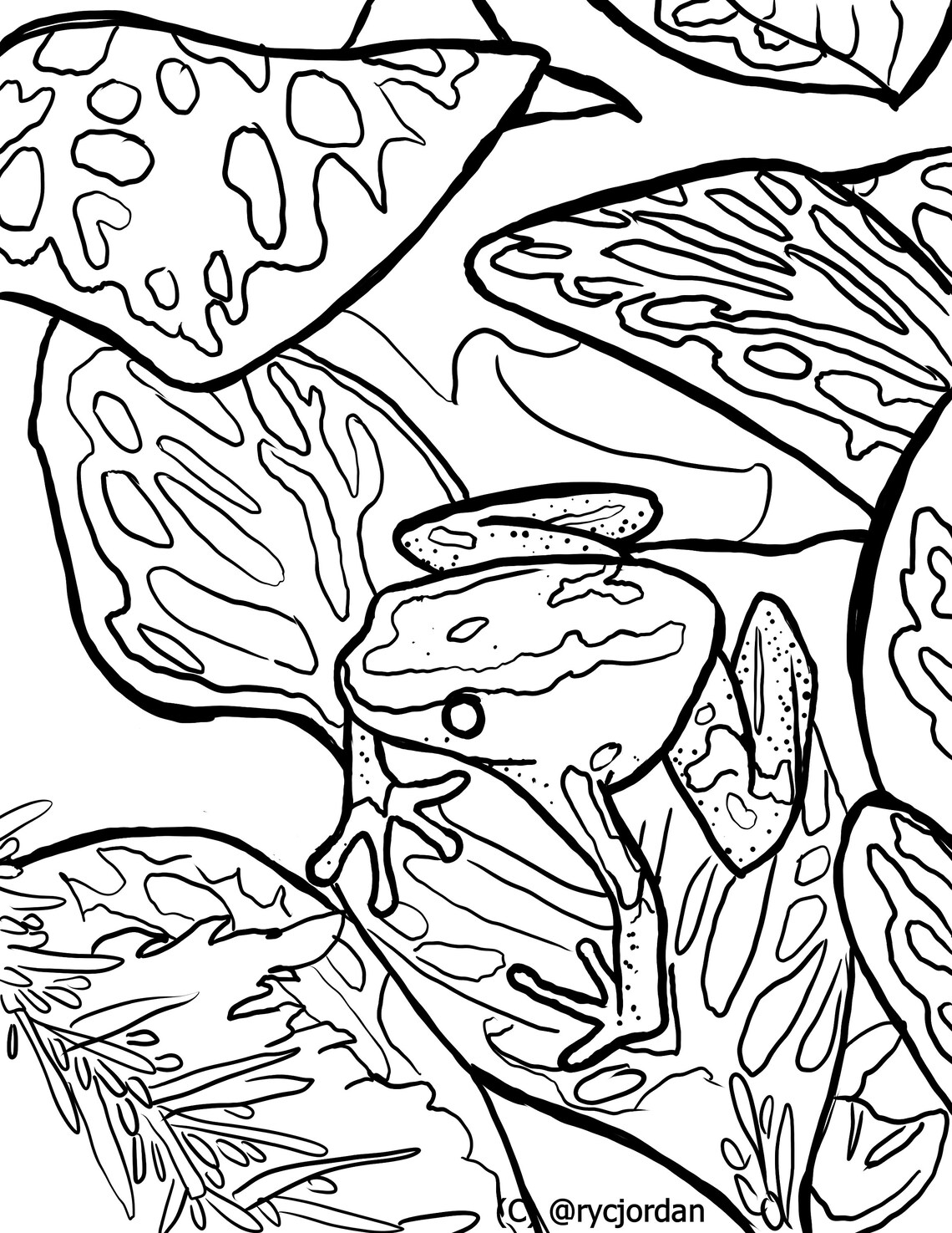 Poison Dart Frog Coloring Pages - Etsy