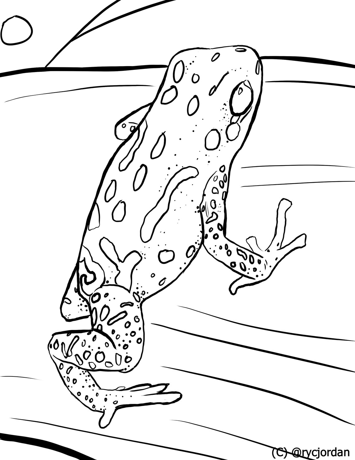 Poison Dart Frog Coloring Pages Etsy Denmark