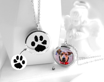 Pootafdruk gedenkteken medaillon met foto en urn ketting voor as huisdier, op maat gegraveerd cadeau hond herdenkingsmunt, pootafdruk ketting met foto