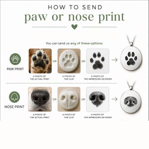May include: An instructional graphic titled HOW TO SEND paw or nose print, showing steps to submit a photo of an actual print, clay impression, or ink impression on paper to be engraved onto a circular silver pendant necklace.