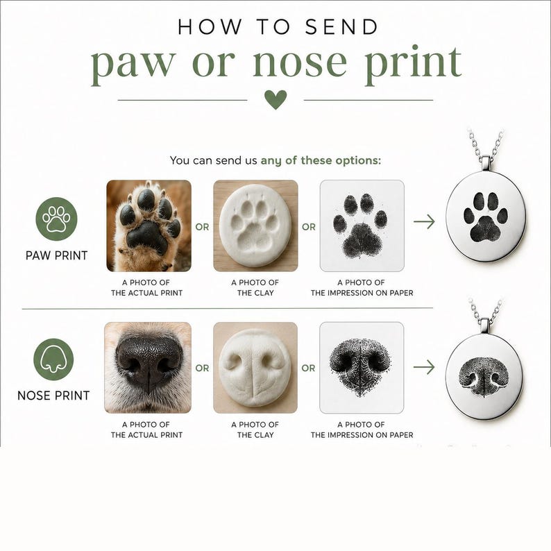 May include: An instructional graphic titled HOW TO SEND paw or nose print, showing steps to submit a photo of an actual print, clay impression, or ink impression on paper to be engraved onto a circular silver pendant necklace.
