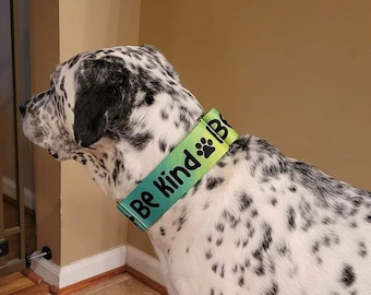 2", 1.5", 1" BE KIND Dog Collar or Martingale, Mental Health Awareness, Be Kind Collar, Green Collar