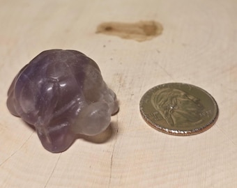 Mini Fluorite Turtle, Small Keepsake, Small Carving.