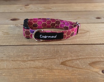 8"-16" Spectrum Dog Collar 3/4" Width, Pet Wear, Small, Medium, Dog Collar, Colorful, Fun, Vibrant, Spectrum