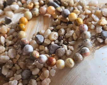 8mm Crazy Lace Agate Crystal Bracelet, 7" Elastic, Handmade