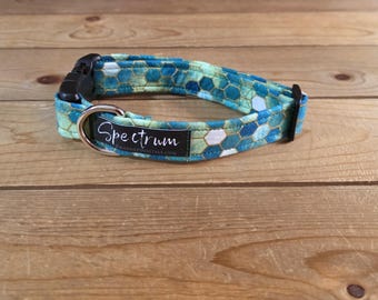 11"-22" Spectrum Dog Collar 1" Width, Pet Wear, Small, Medium, Large Dog Collar, Colorful, Fun, Vibrant, Spectrum Collar