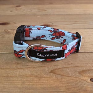 PETITE 9&quot;-16&quot; Dog Collar 1&quot; Width, Pet Collar, Small, Fun Dog Collar, Lobster Dog Collar, Buckle Dog Collar, Maine Lobster