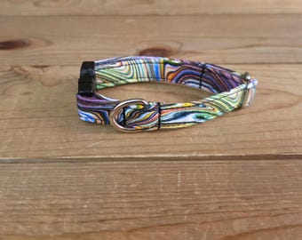 6"-12" Floral Dog Collar 1/2" Width, Pet Collar, XS, Small, Cat, Dog Collar, Spectrum Dog Collar, Colorful Collar, Buckle Collar