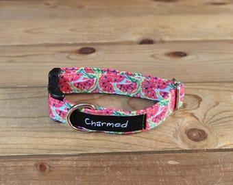 9"-18" Dog Collar 3/4" Width, Pet Collar, Small Dog Collar, Medium, Fruit, Summer Snack, Watermelon