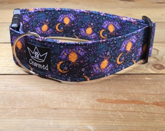 14"-28" Dog Collar 2" Width, Pet Collar, Medium, Large, XL Dog Collar, Moth Dog Collar, Cottagecore, Summer, Boho Collar
