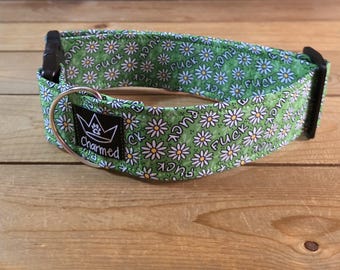14"-28" Swear Dog Collar 2" Width, Small, Medium, Large, XL, Daisy, Fuck Dog Collar, Naughty Dog Collar, Explicit, Funny Dog Collar