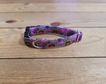 1/2" Width Buckle Collar