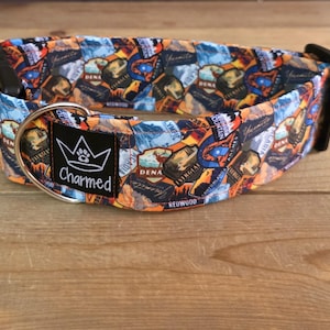 14&quot;-28&quot; hondenhalsband 2&quot; breed, hondenhalsband, medium, groot, XL-halsband, staatsparken, reizen, kamperen, Dogs of Summer, strandhond, halsband met gesp