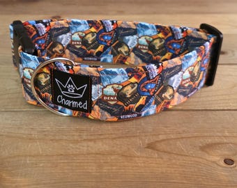 14"-28" Dog Collar 2" Width, Pet Collar, Medium, Large, XL Dog Collar, State Parks, Travel, Camp, Dogs of Summer, Beach Dog, Buckle Collar