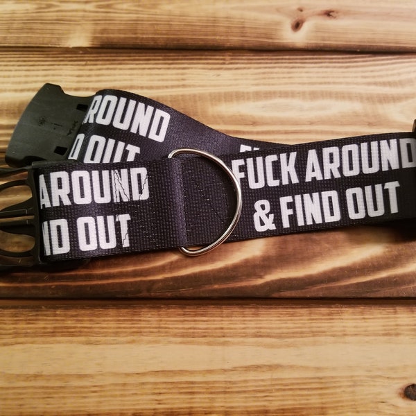 2" Width Fuck Around & Find Out Dog Collar or Martingale, Designer Collar, Black Dog Collar, Explicit, Swears, Profanity