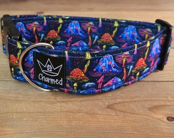 14"-28" Dog Collar 2" Width, Neon Collar, Medium, Large, XL, Summer Dog Collar, Neon, Magic Mushrooms, Mushroom Dog Collar, Buckle Collar