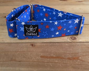 15"-28" Martingale Collar 2" Width, Pet Collar, Medium, Large, XL Dog Collar, 4th of July, Patriotic, Red White & Blue, Martingale Collar