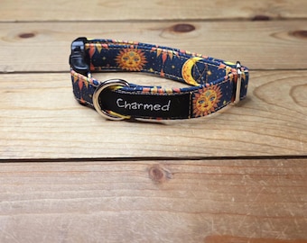 3/4" Width Buckle Collar