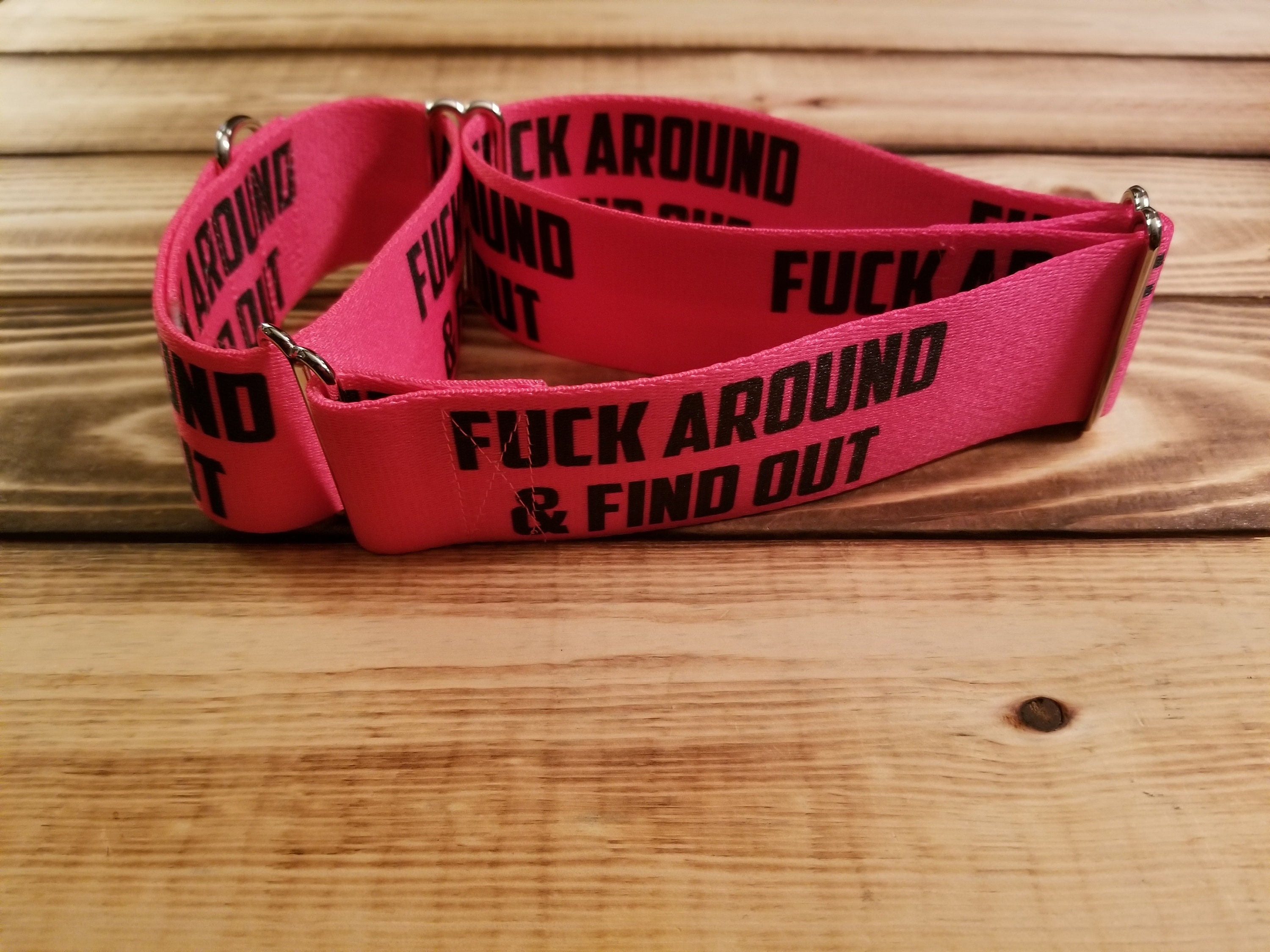2 wide FUCK AROUND & FIND OUT Dog Collar