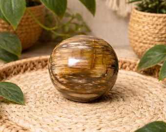 XL Petrified Wood Palm Stone, 6.70oz. Beautiful Palm Stone, Home Decor, Reiki, Healing, Petrified Wood
