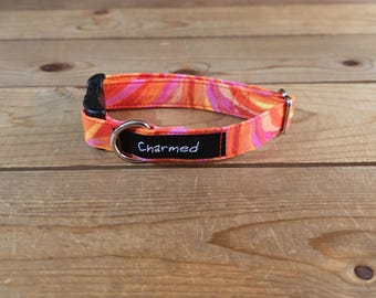 8"-16" Spectrum Dog Collar 3/4" Width, Pet Wear, Small, Medium, Dog Collar, Colorful, Fun, Vibrant, Spectrum