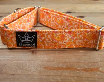 14"-26" Martingale Collar 1.5" Width, Pet Collar, Medium, Large, XL, Martingale Dog Collar, Summer, Horse Martingale, Girly Collar