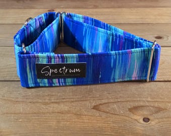 14"-27" Spectrum Martingale Collar 2" Width, Pet Wear, Small, Medium, Large Dog Collar, XL, Colorful, Fun, Vibrant, Spectrum, Martingale