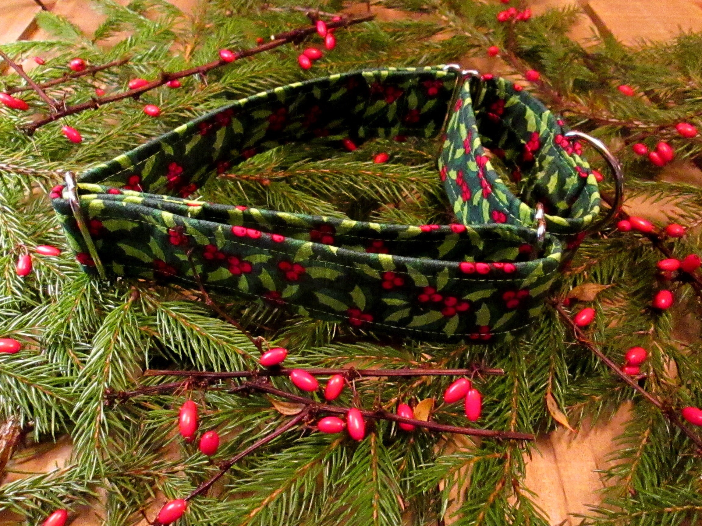 1629 Santa Paws Christmas Martingale Collar 1.5 width, Dog Collar