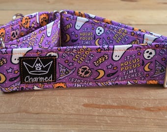 14"-28" Swear Halloween Martingale Collar 2" Width, Small, Medium, Large, XL, Halloween, Tricky or Treat, Spooky Dog, It's So us Pocus Time