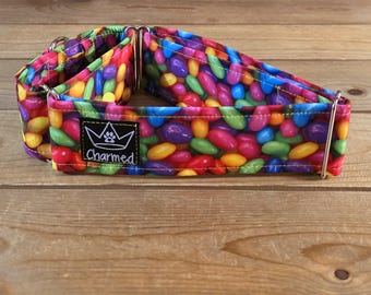 14"-27" Easter Martingale Collar 2" Width, Pet Collar, Medium, Large Dog Collar, XL, Holiday Collar, Easter, Bunny, Jelly Beans