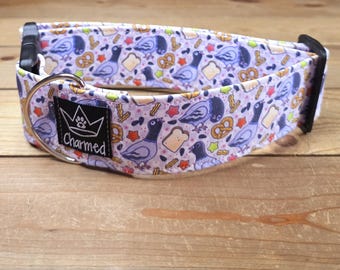 2" Width Buckle Collar