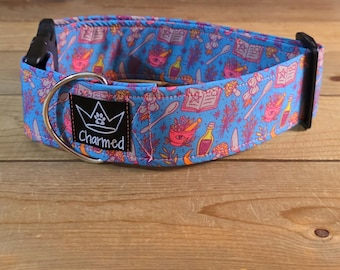 14"-28" Dog Collar 2" Width, Pet Collar, Medium, Large, XL, Fun Dog Collar, Witchy Dog Collar, Magical Collar, Buckle Collar, Spell Book