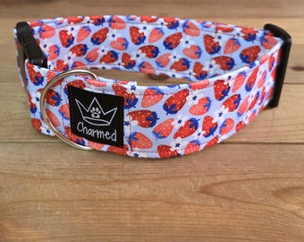 14"-28" Dog Collar 2" Width, Pet Collar, Medium, Large, XL Dog Collar, Fruit Dog Collar, Strawberries, Buckle Collar, Berries