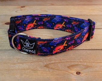 13"-26" Dog Collar 1.5" Width, Pet Collar, Medium, Large, XL, Fun Dog Collar, Sandy Snouts, Neon Fish Dogs, Buckle Dog Collar, Ocean Dog