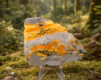 Jasper Slab With Stand, 4.15oz, 3.25" Wide × 2.50" Tall × 1/2" Thick