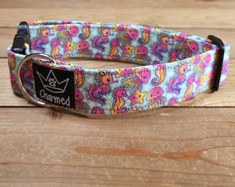 1.5" Width Buckle Collar