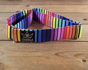 14"-27" Martingale Collar 1.5" Width, Pet Collar, Medium, Large, Big Dog Collar, Stripes Collar, Colorful, Fun Collar