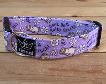 13"-26" Swear Dog Collar 1.5" Width, Medium, Large, XL, Swear Dog Collar, Naughty Collar, Funny, Explicit, Don't Be A Salty Bitch